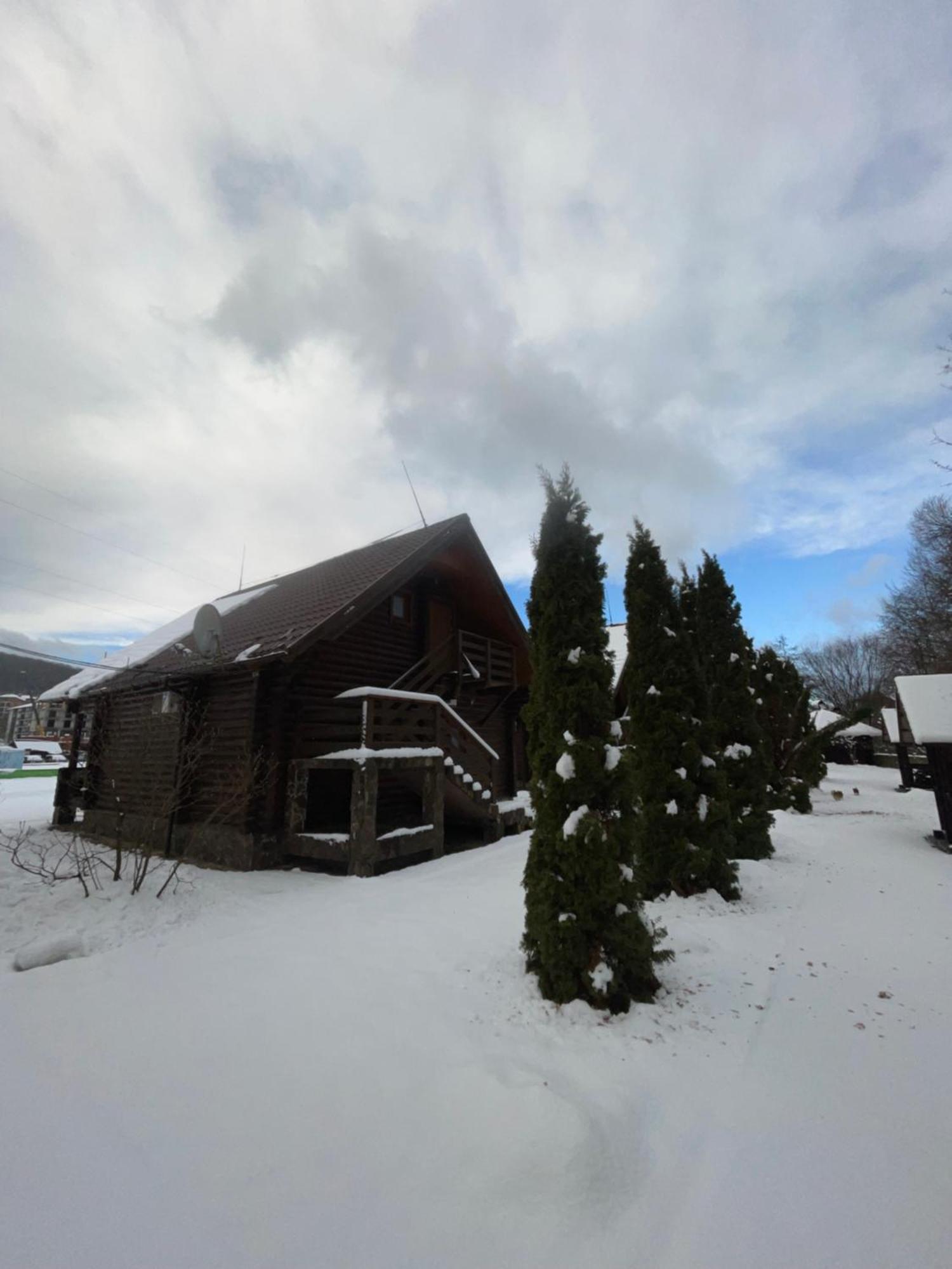 Apartment Moonglade Allure Polyana (Transcarpathia)