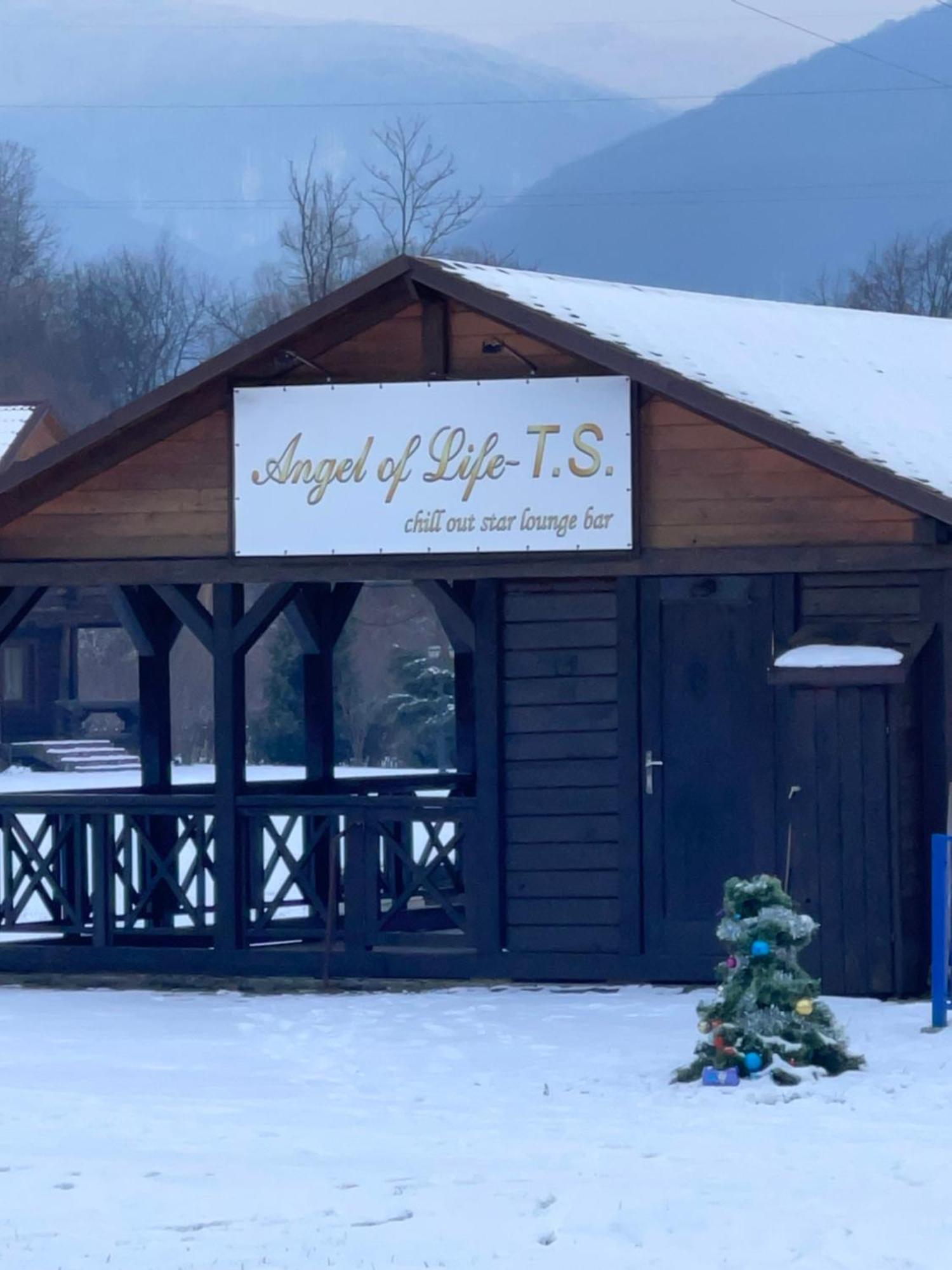 Apartment Moonglade Allure Polyana (Transcarpathia)