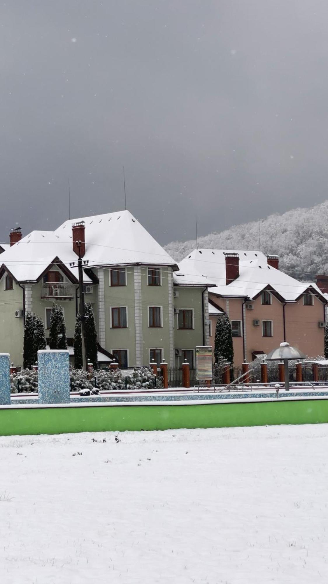 Apartment Moonglade Allure Polyana (Transcarpathia)